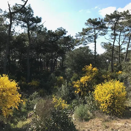 公寓 De L'ocean, 3 Etoiles - Les Oceanes, Montalivet