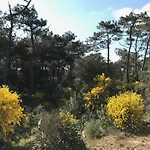 Lejlighed De L'ocean, 3 Etoiles - Les Oceanes, Montalivet