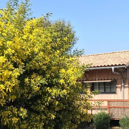 De L'ocean, 3 Etoiles - Les Oceanes, Montalivet Apartmán *